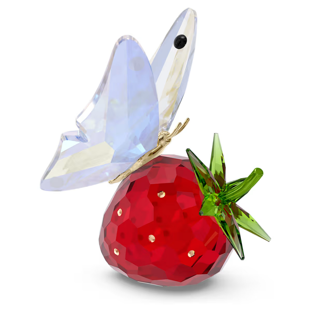 Butterfly on Strawberry